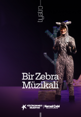 BİR ZEBRA MÜZİKALİ