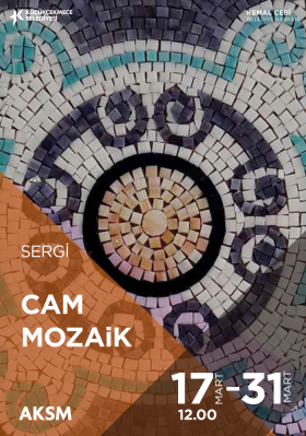 Cam Mozaik