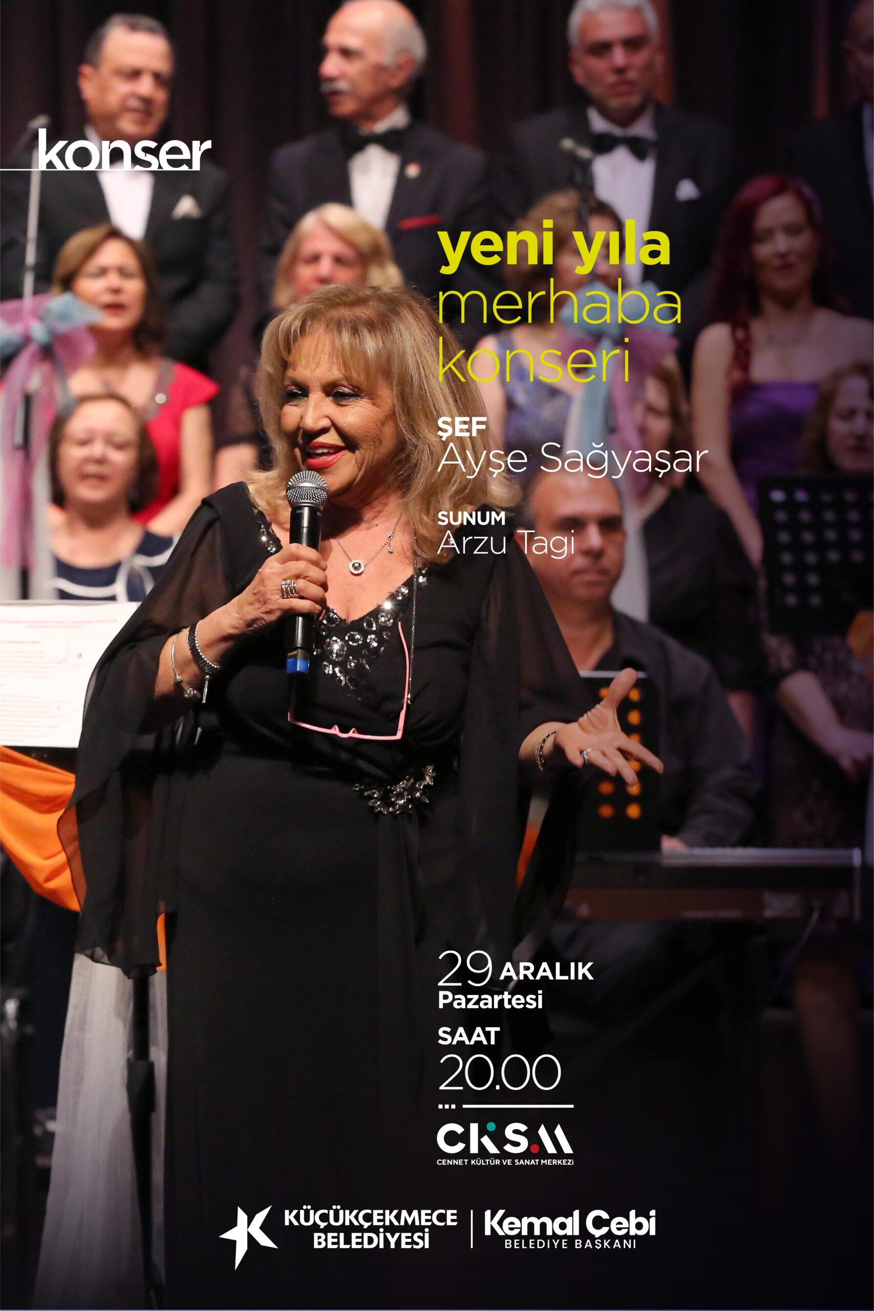 Ayşe SAĞYAŞAR – Yeni Yıla Merhaba